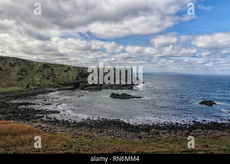 Giant's Causeway parco paesaggio, ambiente marino, Irlanda del Nord Europa Foto Stock