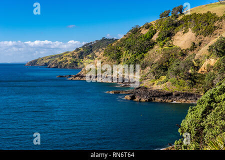 Jackson Bay alla Penisola di Coromandel, Nuova Zelanda Foto Stock