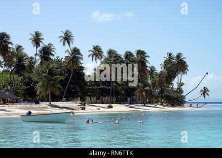 La spiaggia e l'oceano a Pigeon Point Heritage Park. Foto Stock