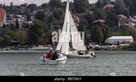 Belgrado, Serbia, Ottobre 2016 - Due barche a vela in gara durante il Micro classe regata sul fiume Sava Foto Stock