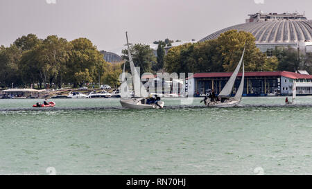 Belgrado, Serbia, Ottobre 2016 - Due barche a vela in gara durante il Micro classe regata sul fiume Sava Foto Stock