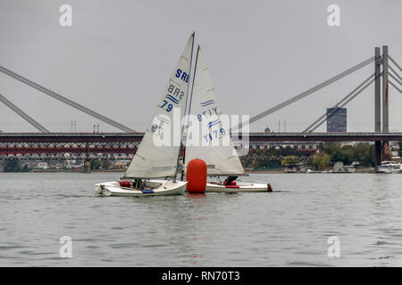 Belgrado, Serbia, Ottobre 2016 - Due Classe Finn velieri competere nel match race regata sul fiume Sava Foto Stock