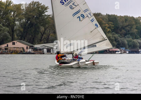 Belgrado, Serbia, Ottobre 2016 - Due Classe Finn velieri competere nel match race regata sul fiume Sava Foto Stock