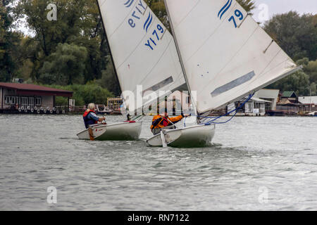 Belgrado, Serbia, Ottobre 2016 - Due Classe Finn velieri competere nel match race regata sul fiume Sava Foto Stock