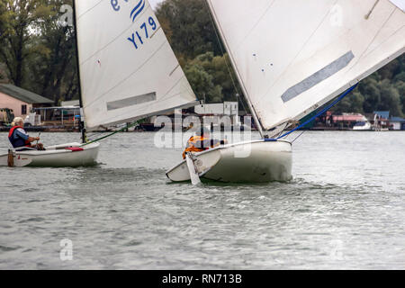 Belgrado, Serbia, Ottobre 2016 - Due Classe Finn velieri competere nel match race regata sul fiume Sava Foto Stock