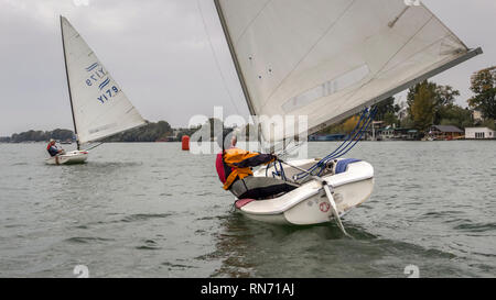 Belgrado, Serbia, Ottobre 2016 - Due Classe Finn velieri competere nel match race regata sul fiume Sava Foto Stock