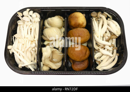 Raw mix di funghi con funghi shiitake, funghi orecchioni, bianco e marrone shimeji in una scatola nera isolati su sfondo bianco Foto Stock