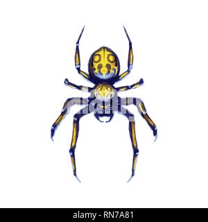 Pericolo di camminamento esotici spider, cartoon aracnide su bianco Illustrazione Vettoriale