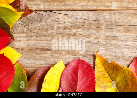 Top visualizza immagine di foglie di autunno in legno sfondo testurizzata Foto Stock