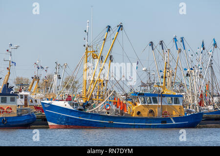 Gamberetti pescherecci nel porto olandese Lauwersoog Foto Stock