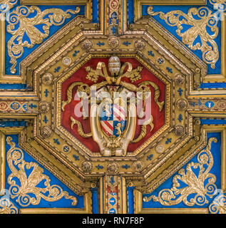 Pio IX lo stemma nel soffitto della chiesa di Santo Spirito in Sassia a Roma, in Italia. Foto Stock