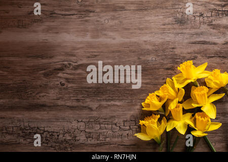 Flat lay of daffodils on a wooden surface, with the flowers in a bunch in the​ corner of the image Foto Stock