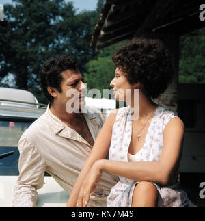 MASTROIANNI,LOREN, girasole, 1970 Foto Stock