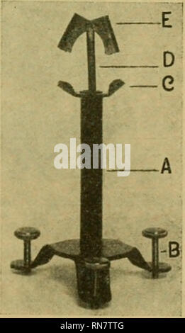 . Anatomischer Anzeiger. Anatomia, comparativo, Anatomia, comparativo. 509 Nachdruck verboten. Ein neuer Schädelträger. Von Dr. W. Peters, Assistent des instituts anatomischen a Bonn. Mit 3 Abbildungen. Anläßlich von SchädelHemonstrationen und Schädelmessungen, die im Istituto hiesigen vorgenommen wurden, machte sich der Mangel eines einfachen Schädelstativs bemerkbar. Diese Lücke füllt meines Erachtens ein neuer von unserem Präparator Wilhelm Heyden in sehr einfacher Weise konstruierter Sehädelträger, aus der sich sowohl zur dimostrazione von Schädeln als auch zu Schädelmessungen in gleicher Foto Stock