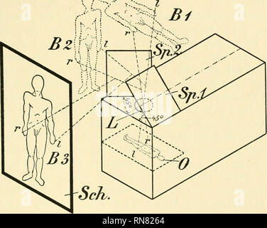 . Anatomischer Anzeiger. Anatomia, comparativo, Anatomia, comparativo. 649 stration Vor den Studenten nur in ganz beschränktem masse zur un- wendung bringen konnte. Auch bei der Vorführung des Episkops auf dem letzten Anatomenkongreß wurde, als Zum Schluß ein Situs abdominalis zur Projektion, kam die Bildumkehr mit Recht von einigen Herrn Kollegen beanstandet. Das gab mir den Anstoß, die Beseitigung des Fehlers durch Einschalten eines zweiten Spiegels nunmehr in Angriff nehmen zu lassen. Unserem geschickten In- stitutsmechaniker Engelbrecht gelang diese Aufgabe così mit gutem Erfolg, dass ich mich v Foto Stock