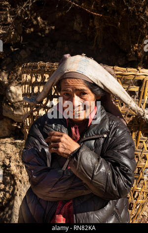 Il Nepal, Namche Bazaar, turismo, femmina Sherpa con naso anello cestello di trasporto utilizzando tumpline fronte cinturino Foto Stock