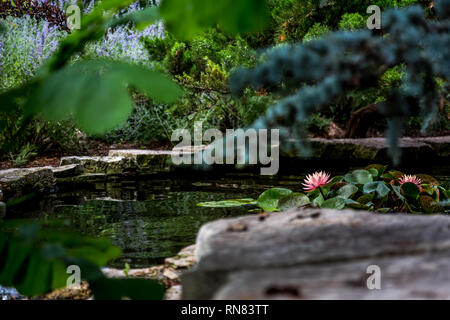 Acqua le funzionalità che è possibile utilizzare nel vostro giardino. Foto Stock