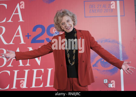 Attrice spagnola Marisa Paredes riceve il Puente de Toledo Award alla Cineteca con: Marisa Paredes dove: Madrid, Spagna Quando: 17 Gen 2019 Credit: Oscar Gonzalez/WENN.com Foto Stock