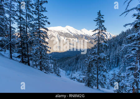 Il Banff Sightseeing gondola si trova a soli 5 minuti dalla cittadina di Banff, sulla spalla della montagna di zolfo, nel cuore della roccia canadese Foto Stock