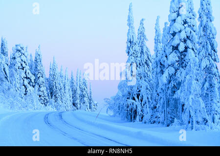 Neve e ghiaccio coperto alberi di conifere in Lapponia, Finlandia Foto Stock