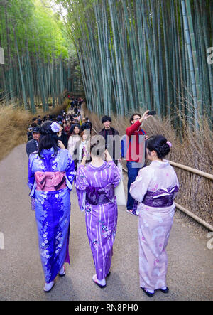 Turisti percorso a piedi attraverso Arashiyama Foresta di Bamboo a Tenryu-ji il tempio di Kyoto. Foto Stock