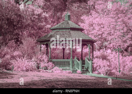 Giardino gazebo circondato da vegetazione lussureggiante nel colore a raggi infrarossi. Foto Stock