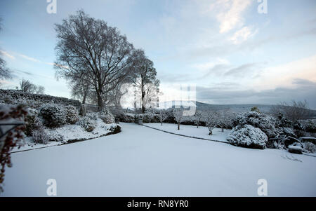 La caduta di neve, Bunclody, Wexford, Irlanda, Eire, Europa Foto Stock