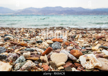 Molti piccoli ciottoli pietre e coralli sul Mar Rosso spiaggia di Eilat, Israele Foto Stock