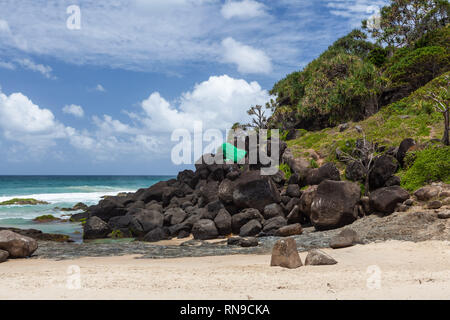 Grande dipinto di rana di pietra a Froggies beach in Coolangatta, QLD, Australia Foto Stock