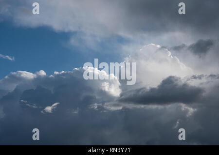 Soleggiato drammatico cumulus nubi, bianco e grigio thunderclouds illuminata dal sole con un bianco brillante contorno. Le nuvole con il sole che splende attraverso. Foto Stock