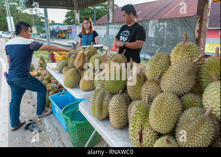 Tenghilan Sabah Malaysia - Giu 26, 2016 : fornitore di frutta Durian vendita a strada in Tenghilan Sabah.Durian è famosa per il suo gusto cremoso. Foto Stock