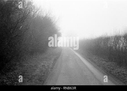 Foggy footpath Hattingley, Medstead, Alton, Hampshire, Inghilterra, regno unito. Foto Stock