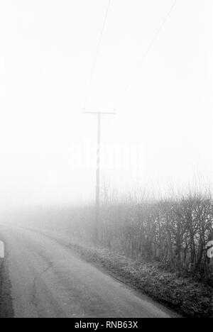 Foggy footpath Hattingley, Medstead, Alton, Hampshire, Inghilterra, regno unito. Foto Stock