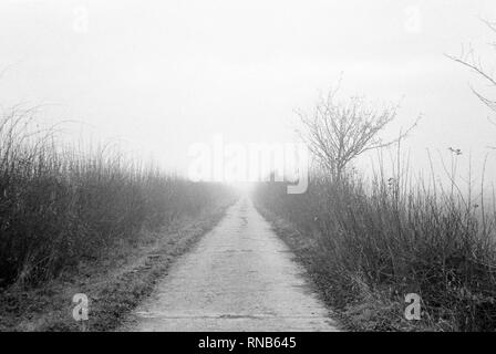 Foggy footpath Hattingley, Medstead, Alton, Hampshire, Inghilterra, regno unito. Foto Stock