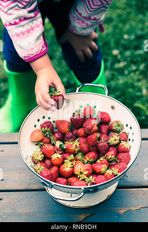 Kid prendendo una fragola fresca dalla coppa di frutta fresca spruzzata gocce di pioggia su un tavolo di legno Foto Stock