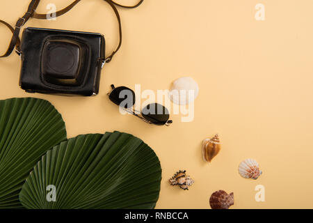 Vista superiore della cinepresa, conchiglie, foglie di palma e occhiali da sole su sfondo beige Foto Stock