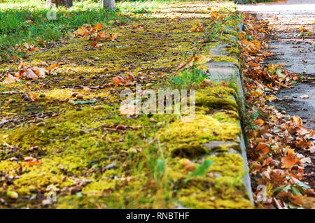 Bordo della strada è coperto con foglie, la strada è coperto con foglie di autunno Foto Stock