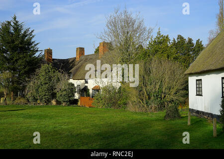 Cottage che circondano il villaggio verde a Ardeley, Hertfordshire Foto Stock