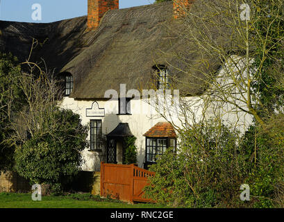 Cottage che circondano il villaggio verde a Ardeley, Hertfordshire Foto Stock