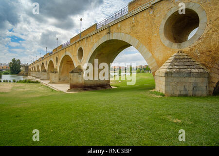 Vista del ponte di palme in Badajoz Foto Stock