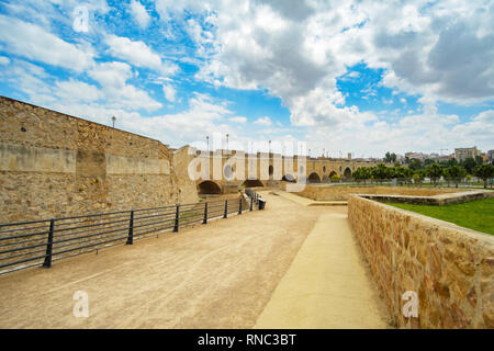 Vista del ponte di palme in Badajoz Foto Stock