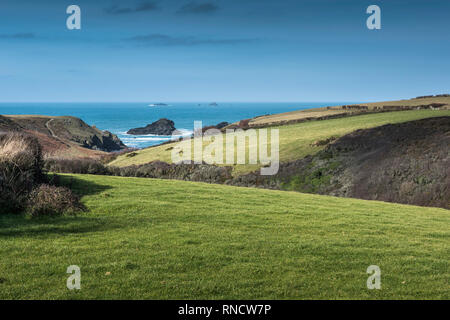 I campi che conducono in basso verso l'appartato Porth Mear Cove sulla North Cornwall coast. Foto Stock