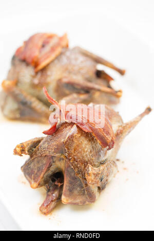 Due colombacci che sono state forno arrosto con pancetta e fotografati su uno sfondo bianco. Il woodpigeon Columba palumbus, è uno dei Foto Stock