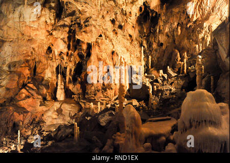 Pestera Ursilor (orso' Cave) con 140 orso delle caverne (Ursus spelaeus) scheletri scoperto sul sito in Apuseni Montagne in Chiscau, Romania. Luglio xvi Foto Stock