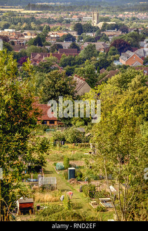 Tipico inglese estate in scena con il giardinaggio di assegnazione di una piccola Hampshire città mercato,presi dalle colline circostanti,sul bordo della campagna Foto Stock
