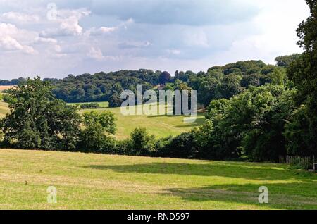 Il Chiltern Hills ad alta estate vicino a Henley on Thames Oxfordshire England Regno Unito Foto Stock