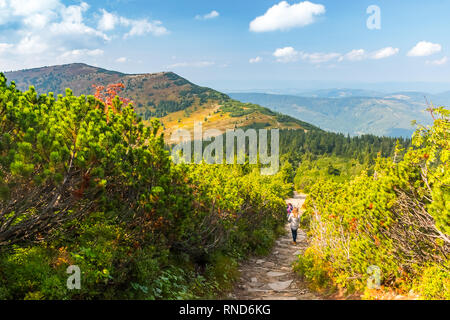 Vista da Babia Gora o Babi Hora, la vetta più alta di Beskids montagne in Polonia e in Slovacchia confine Foto Stock