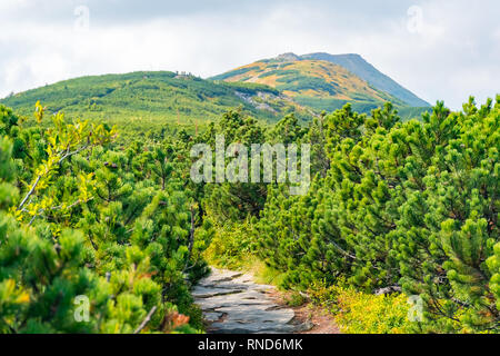 Vista da Babia Gora o Babi Hora, la vetta più alta di Beskids montagne in Polonia e in Slovacchia confine Foto Stock