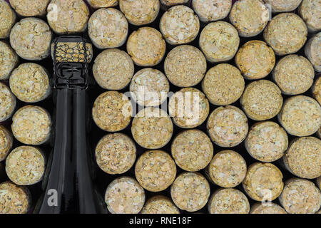 Sfondo nero della bottiglia di champagne circondato di molti tappi di champagne Foto Stock