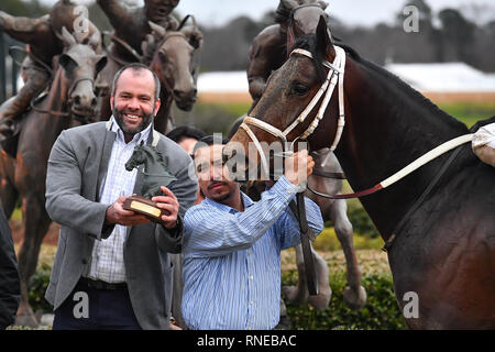 Hot Springs, Arkansas, Stati Uniti d'America. 18 Febbraio, 2019. Febbraio 18, 2019: #6 Super destriero con jockey Terry J. Thompson vince Southwest Stakes gara a Oaklawn Park il 18 febbraio 2019 in Hot Springs, Arkansas. (Foto di Ted McClenning/Eclipse Sportswire/Cal Sport Media) Credito: csm/Alamy Live News Foto Stock